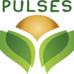 pulses-logo