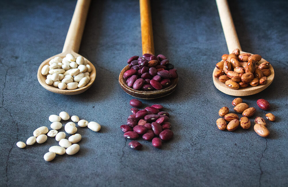 a variety of dry beans in wooden spoons