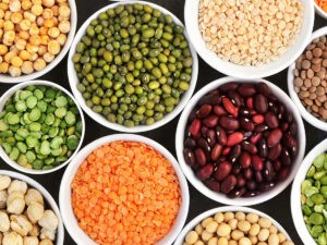 Mix of dry legume varieties