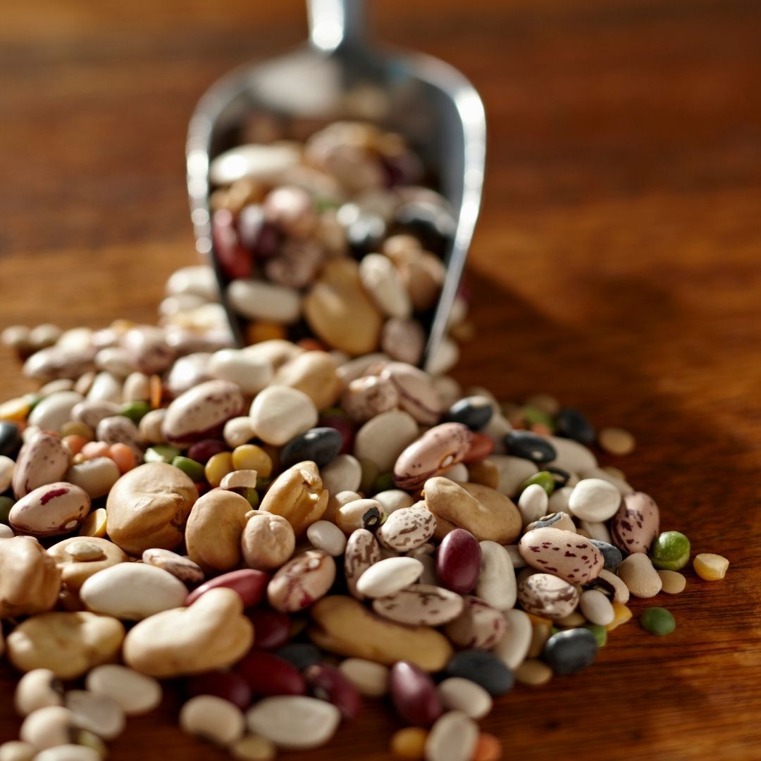 A scoop with a wide variety of dried beans.