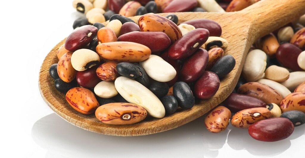 A wooden spoon with a variety of dried beans.