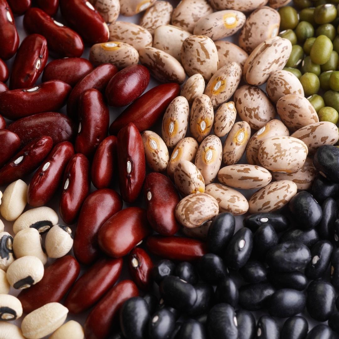 GMO free beans
