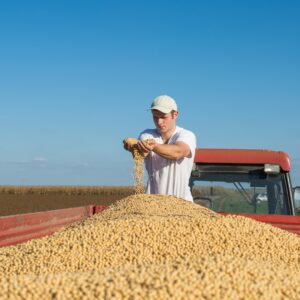 soy bean farmer