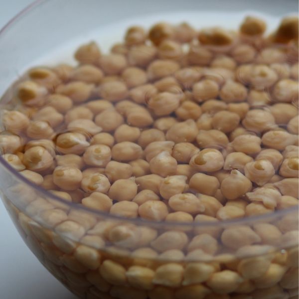 garbanzo beans soaking in water