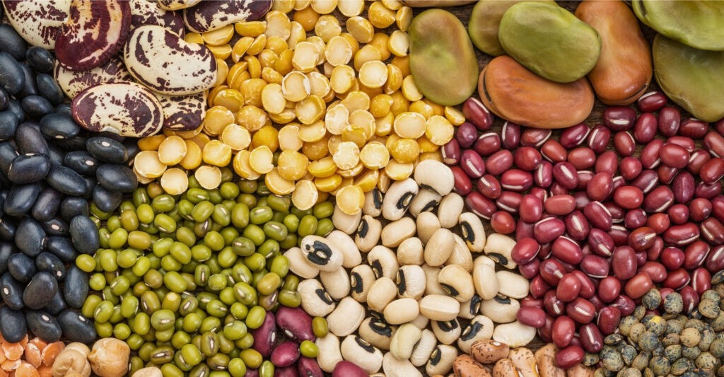Frequently Asked Questions About Beans